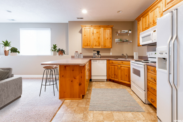 Virtually Staged - Basement Great Room & Full Kitc