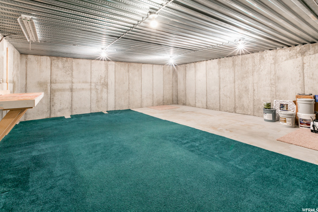Large Basement Storage Room