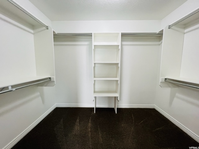 Walk in Master Closet