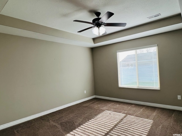 Master Bedroom Tray Ceiling