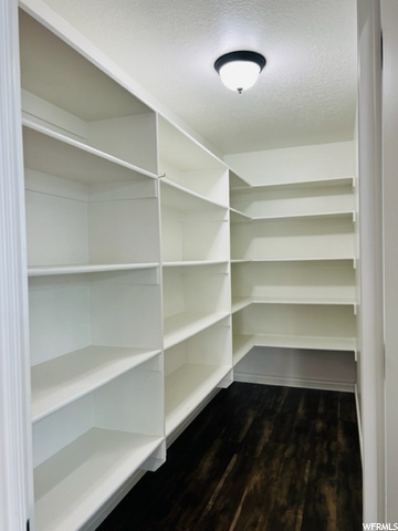 Walk In Kitchen Pantry
