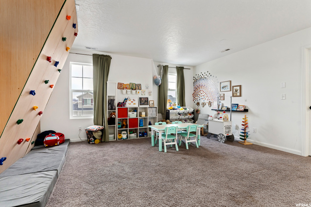 Climbing Wall and Reading Nook