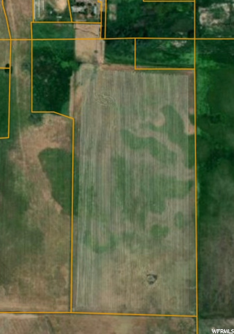 Includes Parcel RP03075.00 which is an additional 1.89 acres. 52.89 acres total. Also includes 38.5 shares of Oxford Peak Irrigation Water. Flood irrigation is used. Awesome property. Call today.