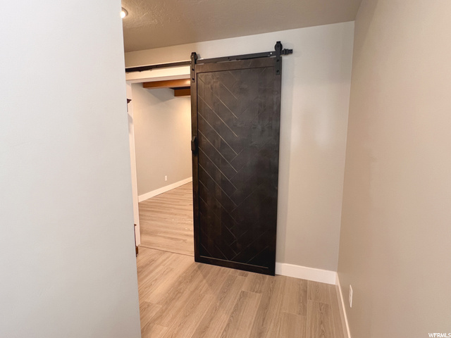 Sliding Barn Door to 2nd Living in Basement