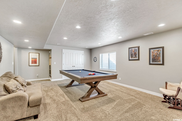 Basement Family Room