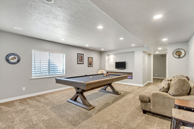 Basement Family Room with Fireplace