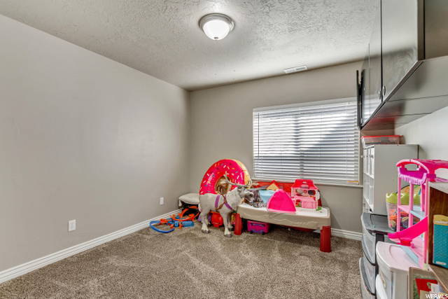 Basement Bedroom #2