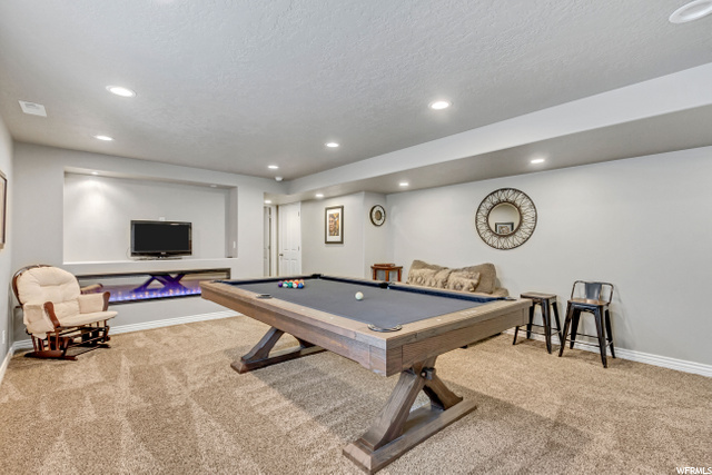 Basement Family Room with Fireplace