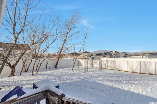 Huge Backyard