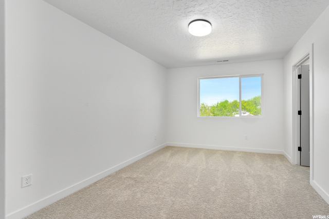 carpeted empty room with natural light