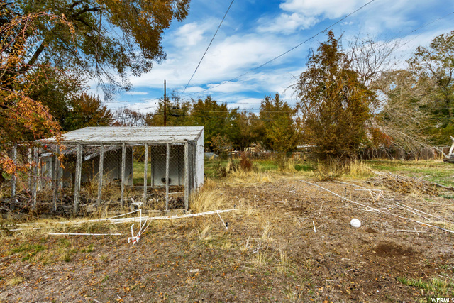 Backyard 5