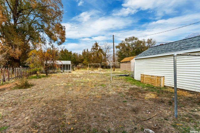Backyard 4