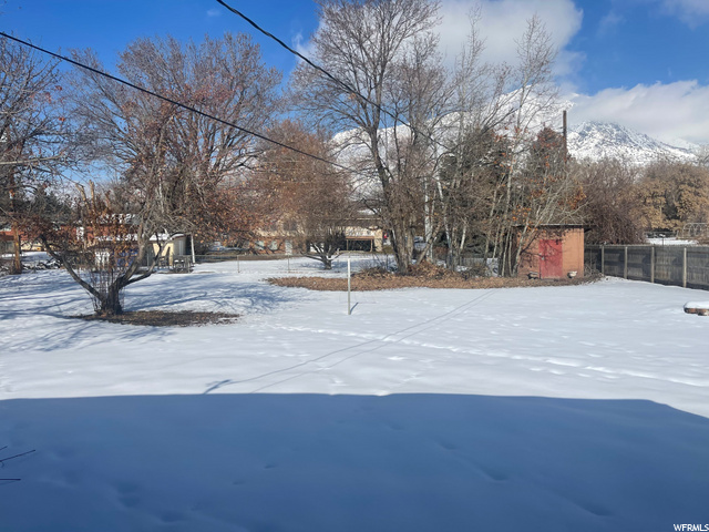 Back Yard North View