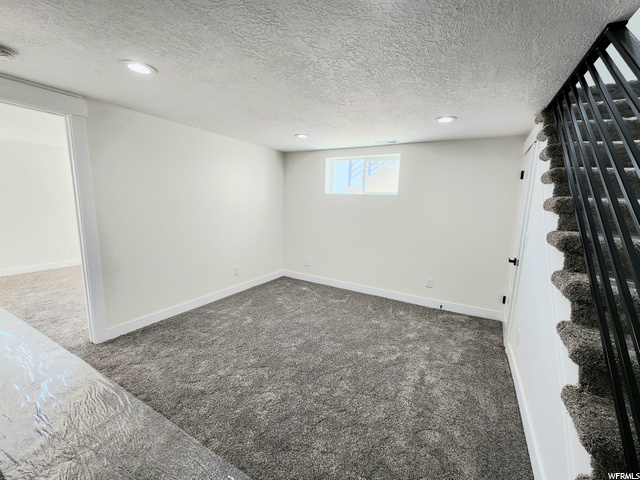 Basement Family Room