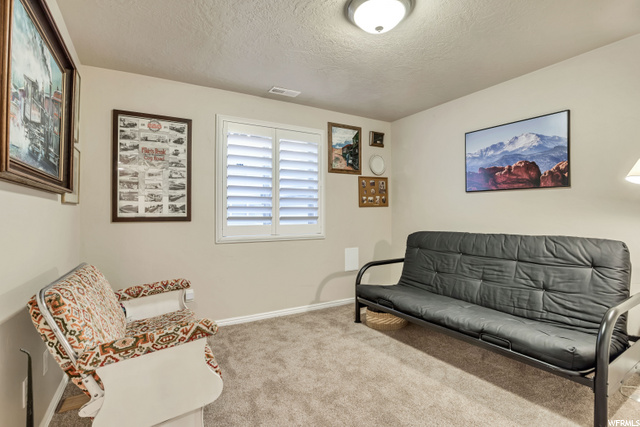 Lower bedroom