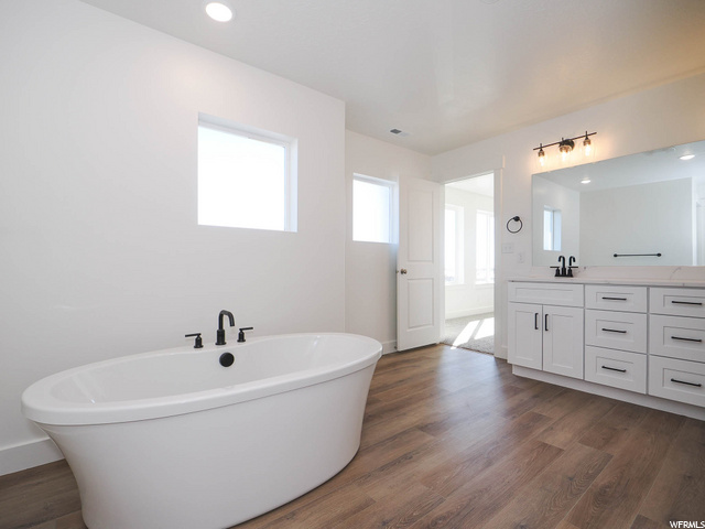 bathroom featuring a healthy amount of sunlight, wood-type flooring, mirror, vanity, and a washtub