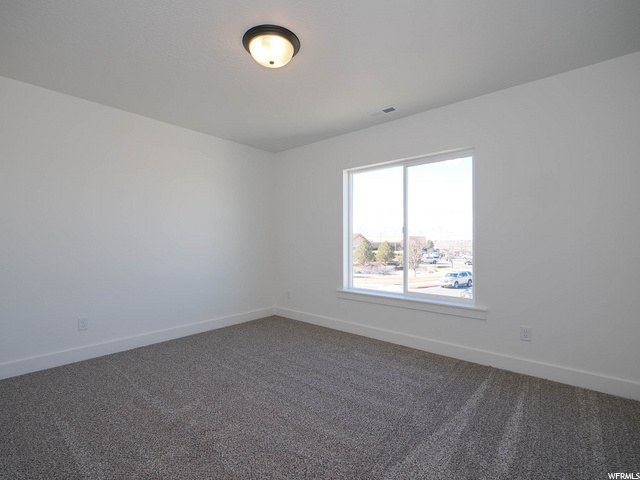 empty room featuring carpet and natural light