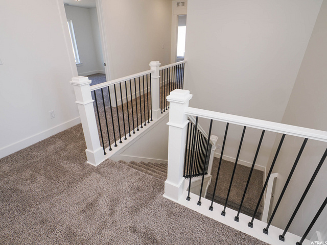 stairs featuring carpet