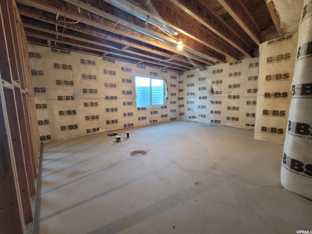 Unfinished Basement Bathroom