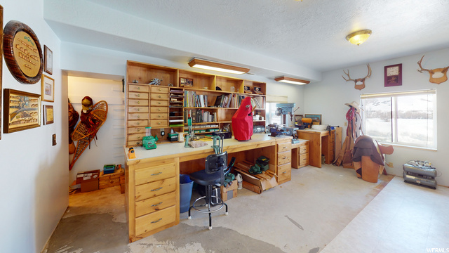 Basement Workshop