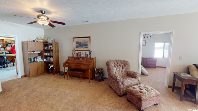 Basement Family room