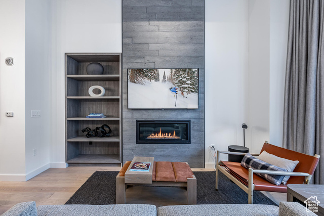 Living room featuring wood-type flooring