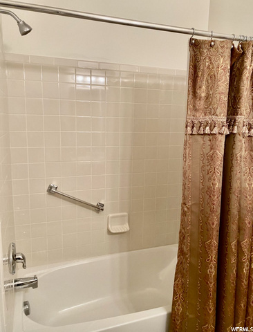 Hall Bathroom Bathtub