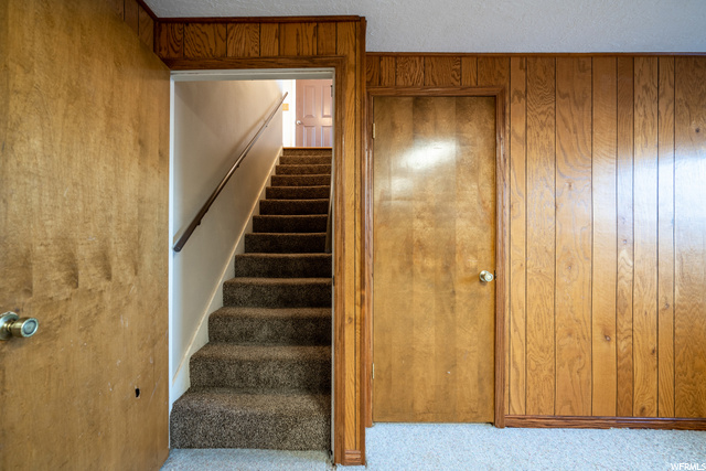 Basement in main house