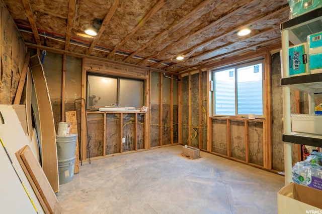 Unfinished basement areas and storage
