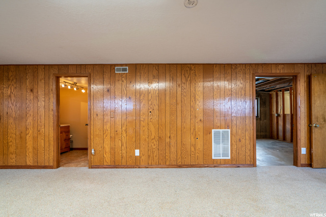 Basement in main house