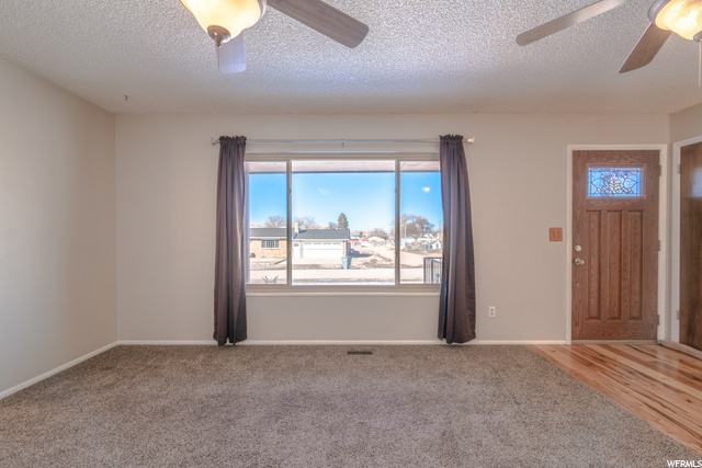 Large open concept