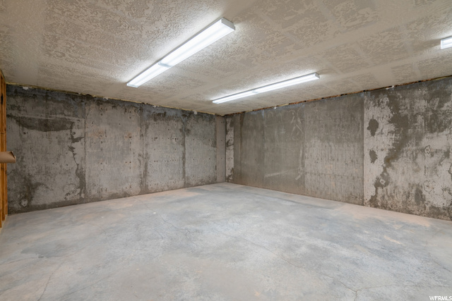 Unfinished basement areas and storage