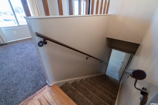 Basement stairway between dining room and kitchen