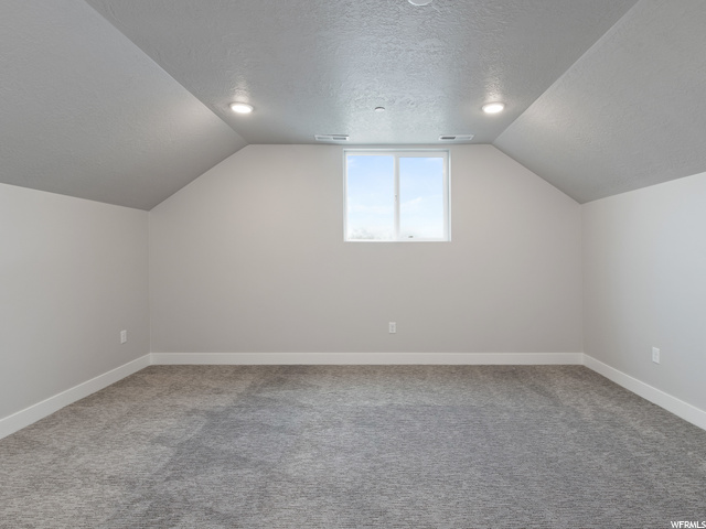 additional living space featuring carpet and lofted ceiling