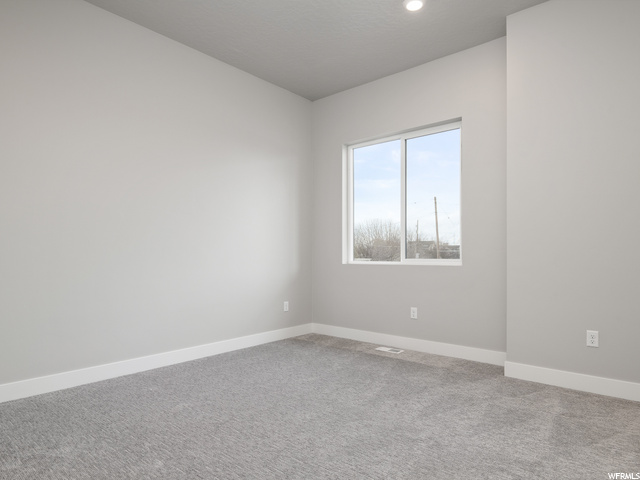 spare room with natural light and carpet