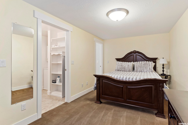Basment Apartment Bedroom