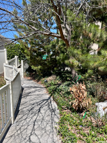 Walkway front to back yard