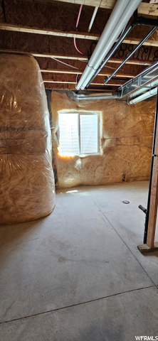 Light Basement