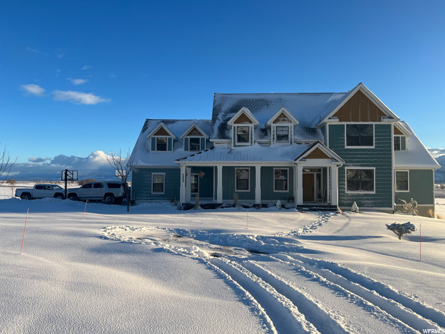 Winter view