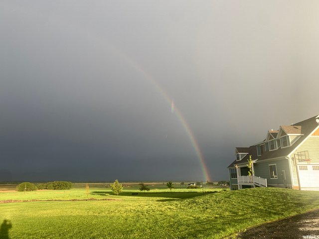 Summer Rain Storm