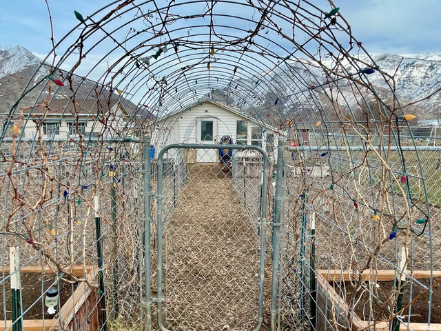 Organic arbor -blooms in spring