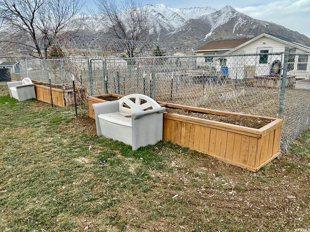 Garden boxes