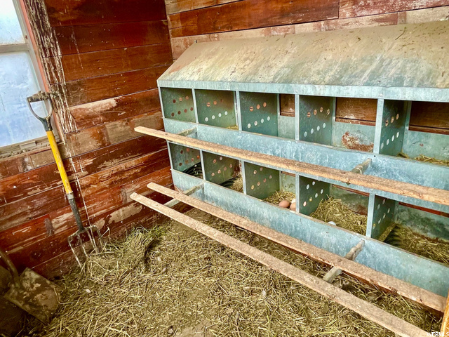 Chicken coop