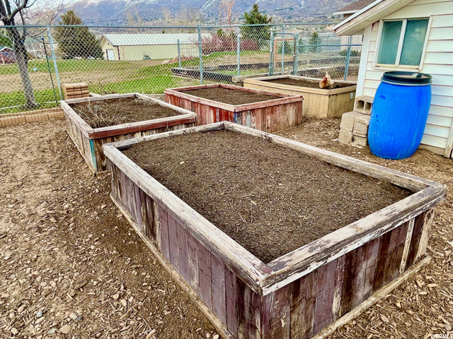 Garden boxes