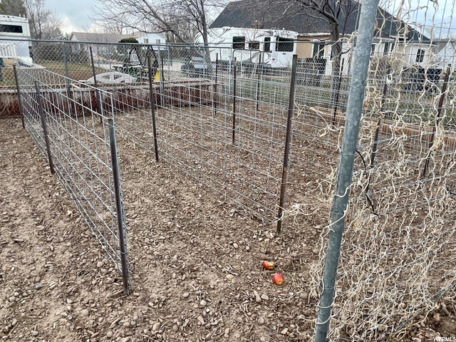Garden poles/vines