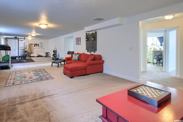 Basement Family Room