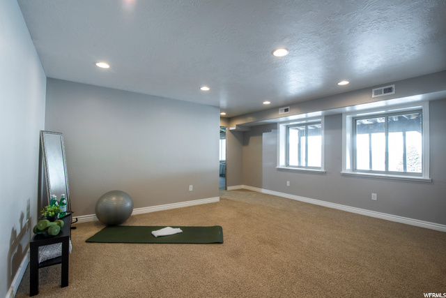 Basement Family Room