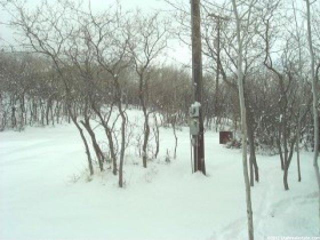 1076 Mount Tabby Dr, Tabiona, UT 84072 — photo 4