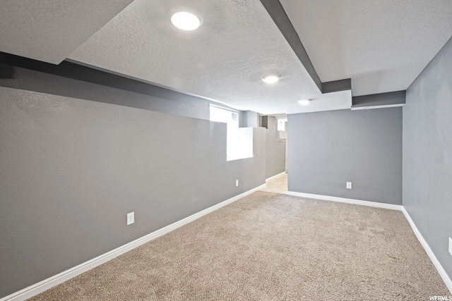 basement featuring carpet