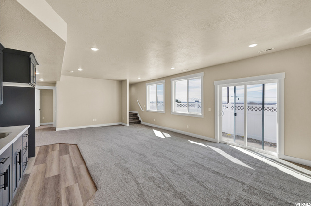 Downstairs Family Room w/Kitchenette